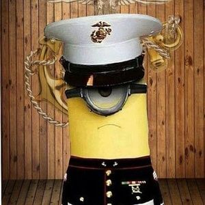 Meet your Posher, Robbie